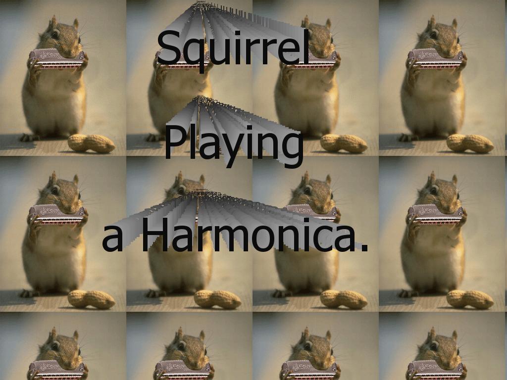 squirrel-playing-a-harmonica
