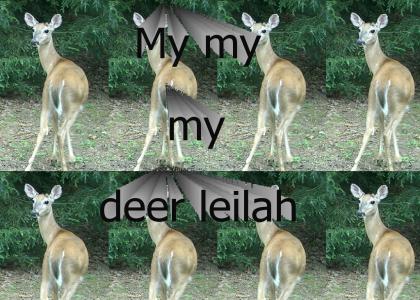 My my my deer leilah