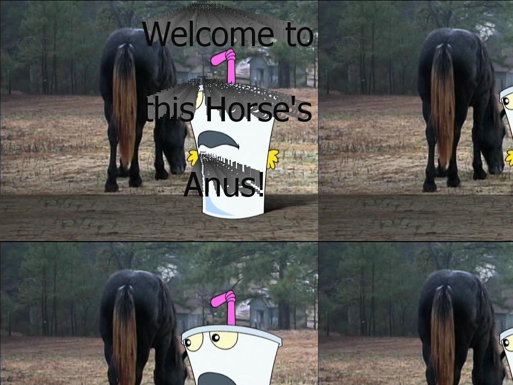 horsesanus