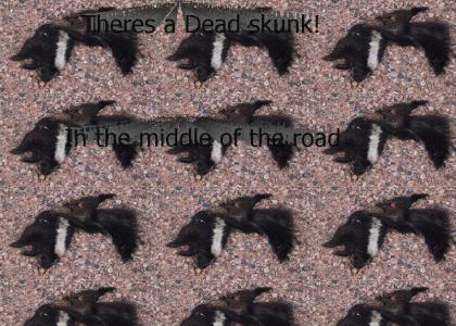 dead skunk