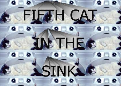 FIFTH CAT IN THE SINK