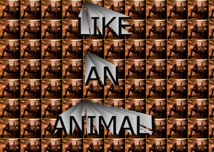 LIKE AN ANIMAL! (Nine Inch Nails)