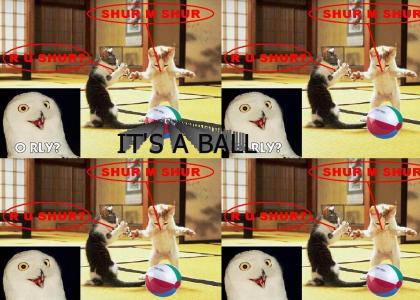 Not Shur It's A Ball