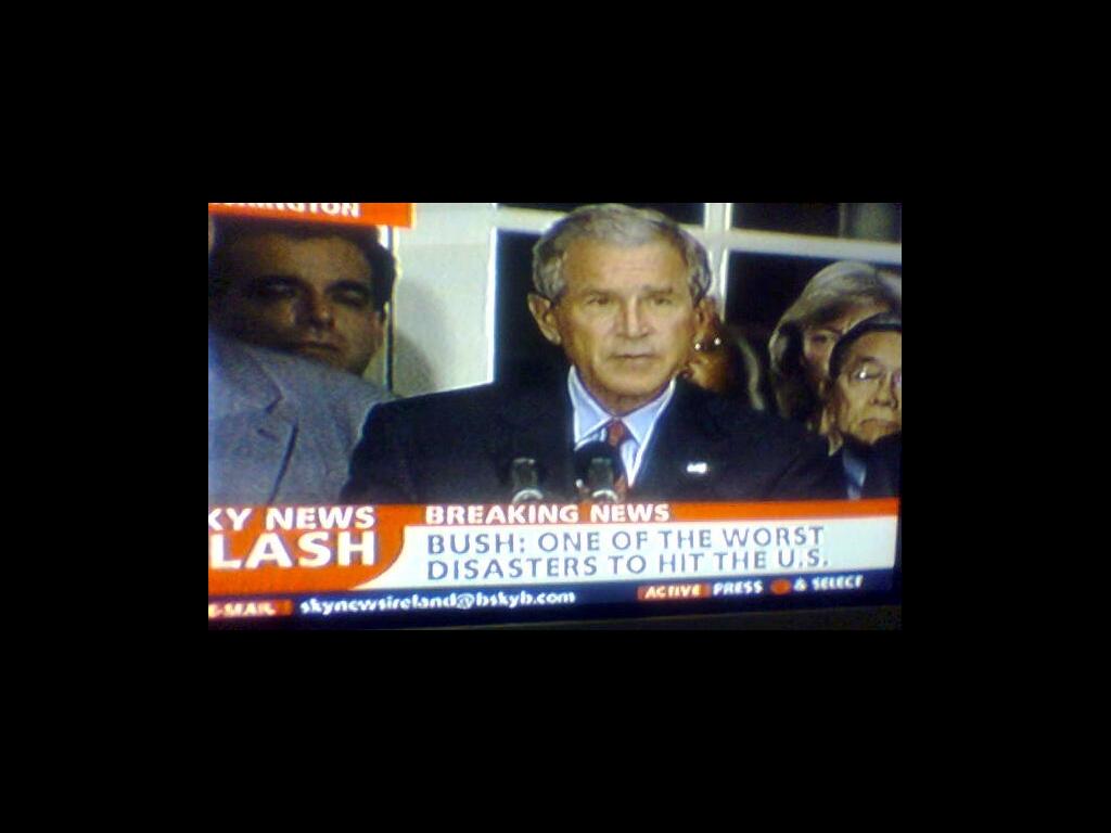 bushthedisaster