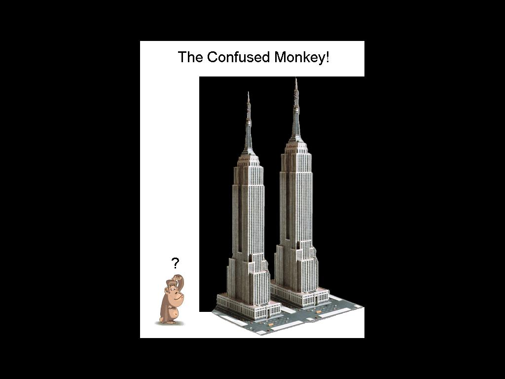 confused-monkey
