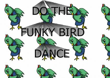 funky bird dance