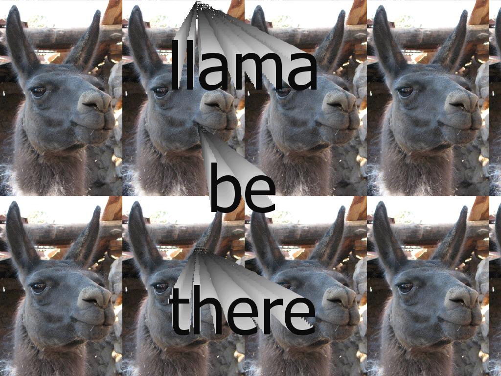 llamabethere