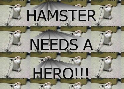 Holding Out for a Hamster