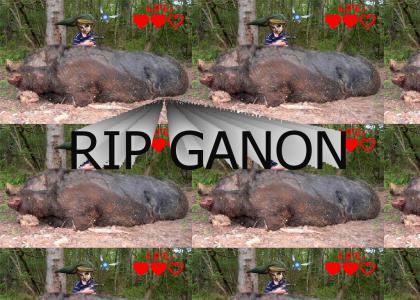 R.I.P. Ganon