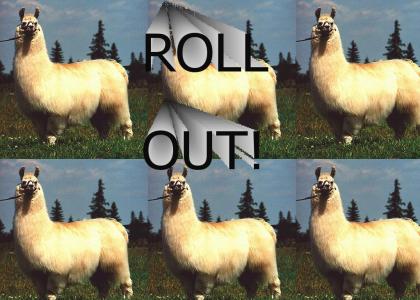 rolloutllama