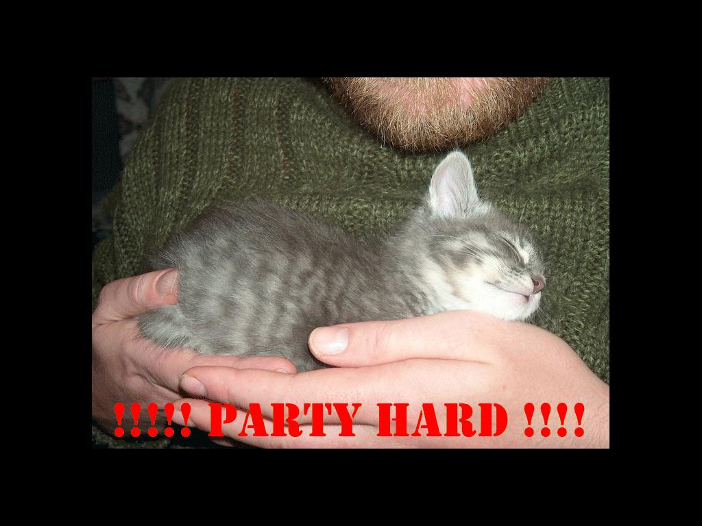 PARTYHARDPARTYPARTYPARTY