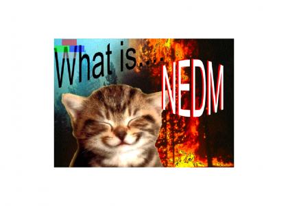 Google:  What is NEDM?