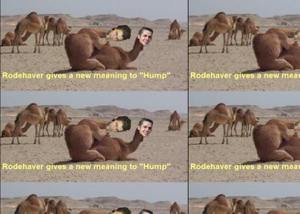 hump that hump