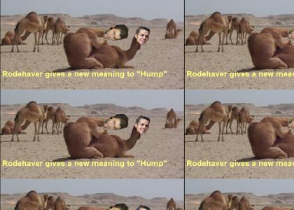 hump that hump hump that hump