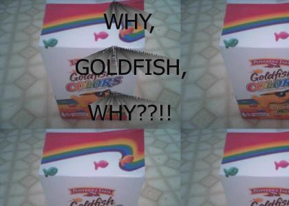 Goldfish went GAY!