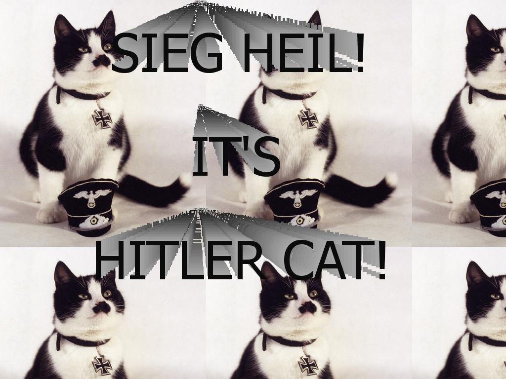 hitler-cat