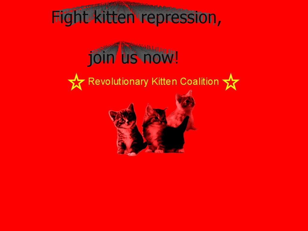 revolutionarykittencoalition