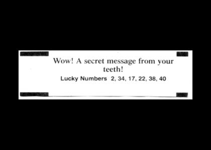 The Weirdest fortune cookie ever!!!