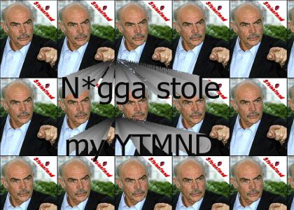 stolentmnd: N*gga stole my YTMND