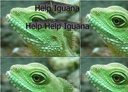 Help Iguana!