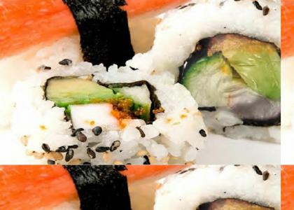 Sushi stares into your soul