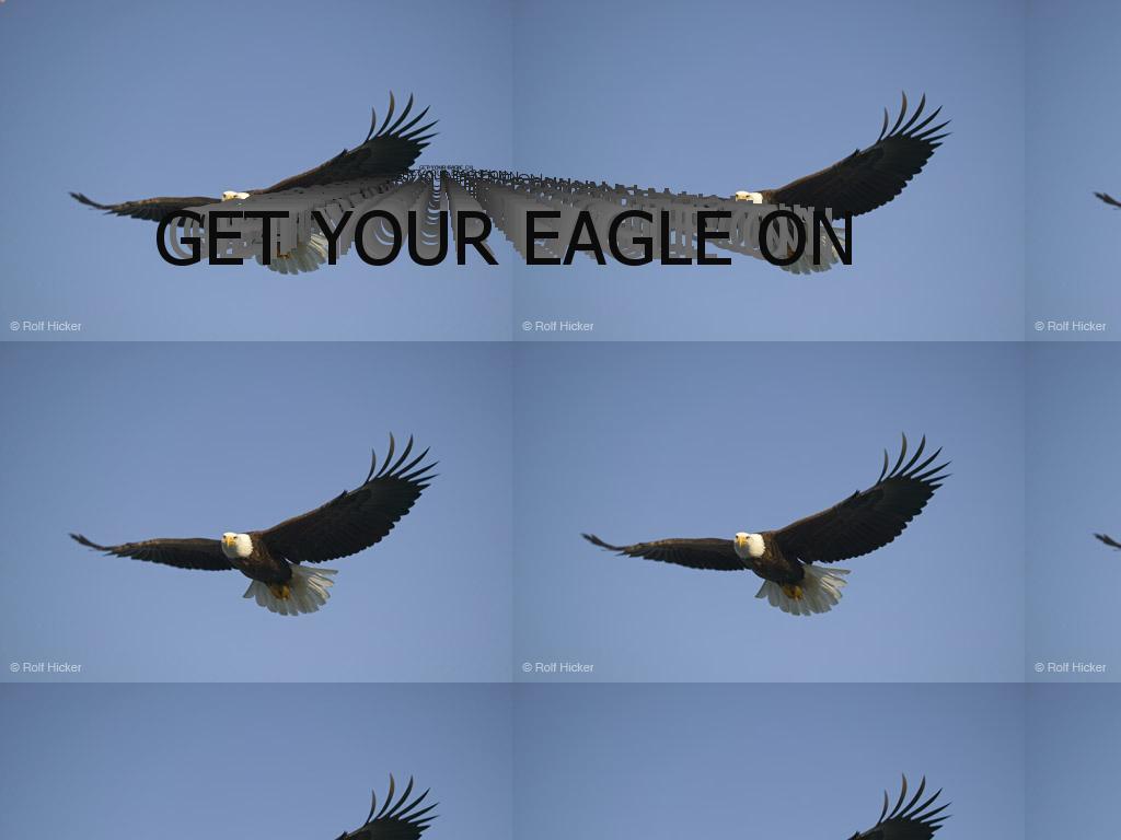 eagleon