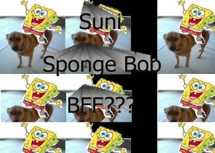 Suni And Sponge Bob