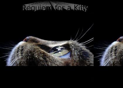 Requiem for a Kitty