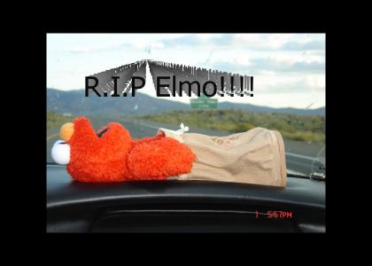 Elmo Died