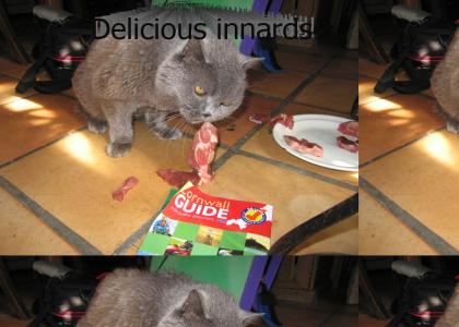 Happy Cat feasts on Rude Kitty!