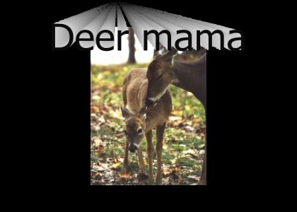 Deer mama...