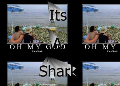 Its A Shark
