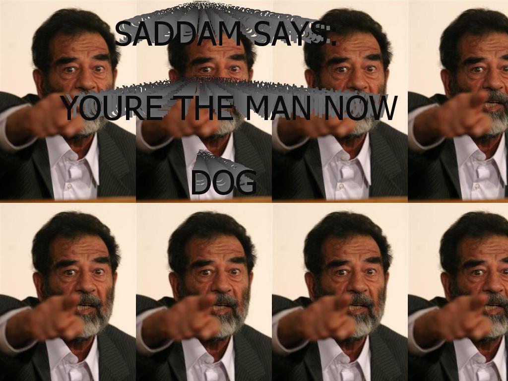 saddamsthemannowdog