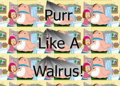 Purr like a walrus