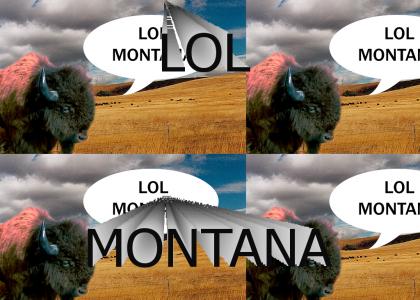 LOL Montana