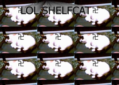 OMG Secret Nazi Shelf Cat