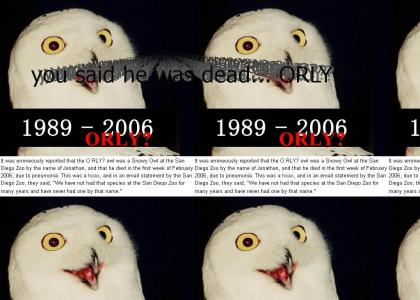 ORLY OWL LIVES!!111