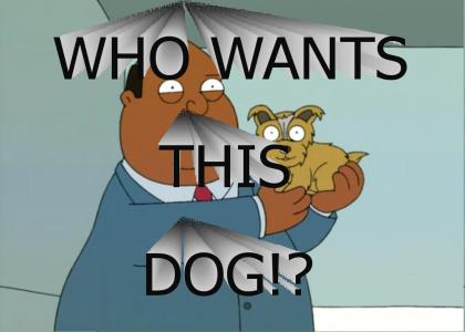 WHO WANTS THIS DOG!? (Family Guy Movie)