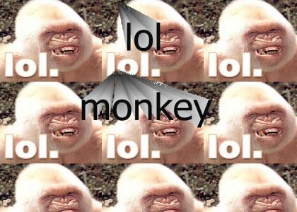 lol monkey