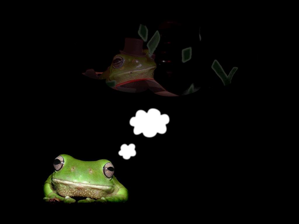 frog-pimpin