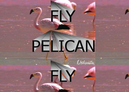 Fly Pelican Fly