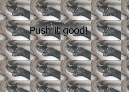 Kitty push it