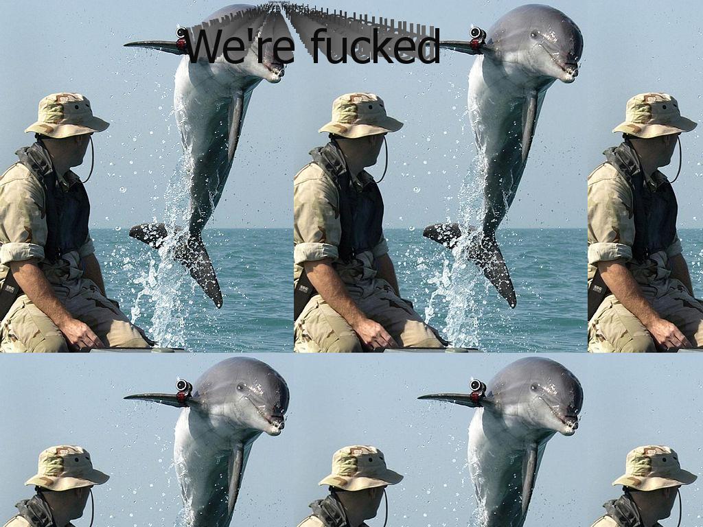 dolphinlaser