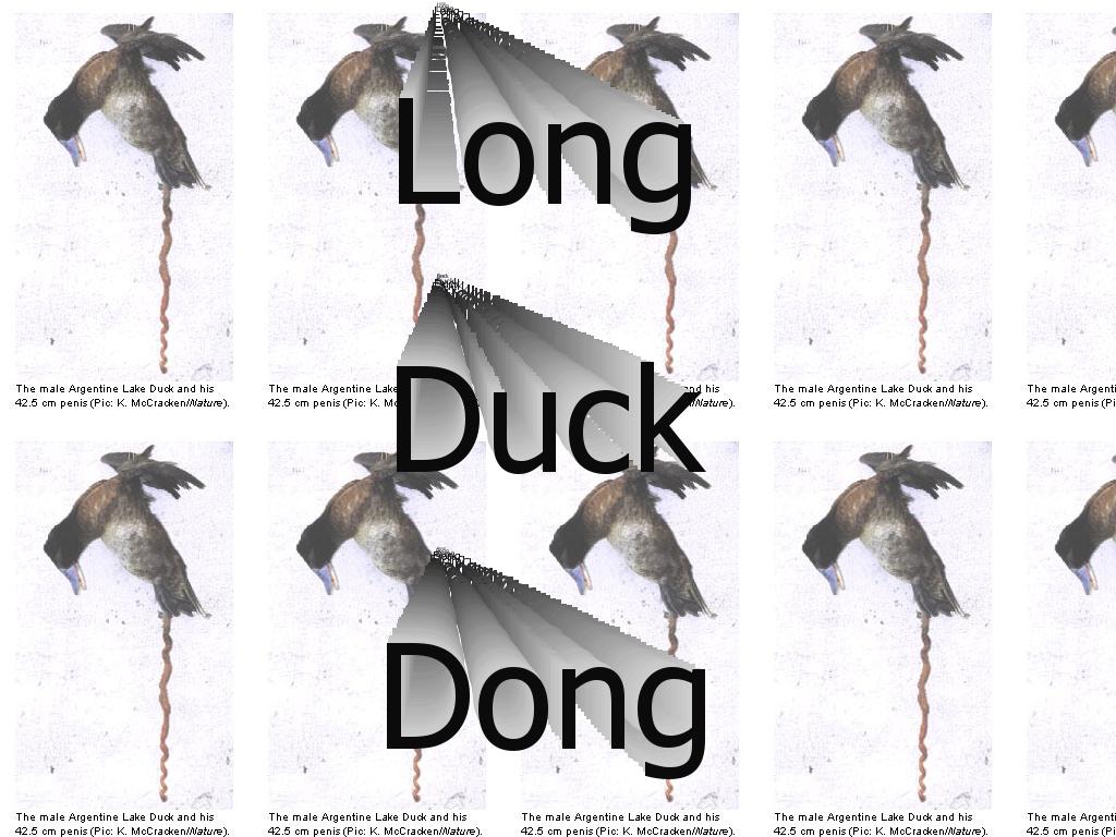 longduckdong