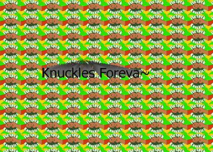 MonkeyFat Knuckles~