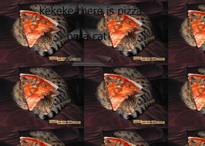 keke pizza cat ^___^