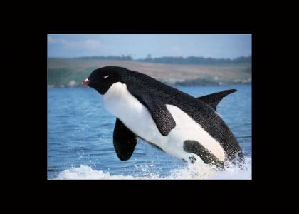 Penguin-Whale