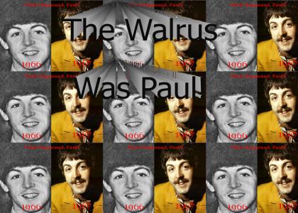 The Walrus Was Paul