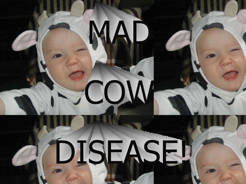 cowmania