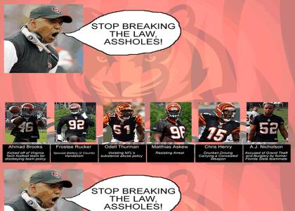 Bengals Training Camp